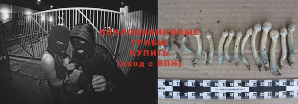 spice Алексеевка