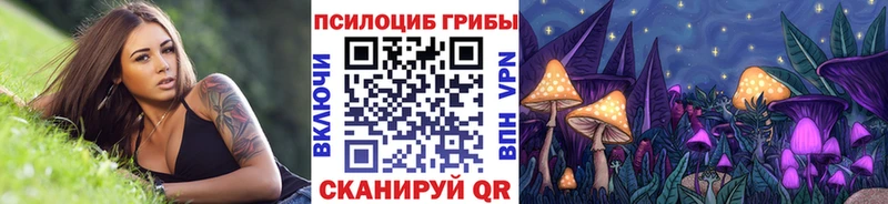Псилоцибиновые грибы GOLDEN TEACHER  Кизилюрт 